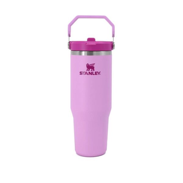 Stanley The IceFlow Flip Straw Pipetli Termos Bardak 0,89 LT | Lila