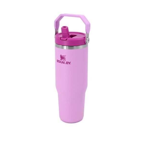 Stanley The IceFlow Flip Straw Pipetli Termos Bardak 0,89 LT | Lila